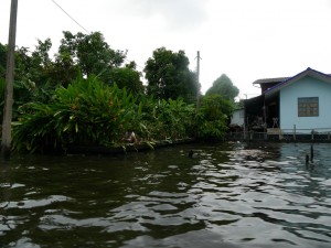 P1010350